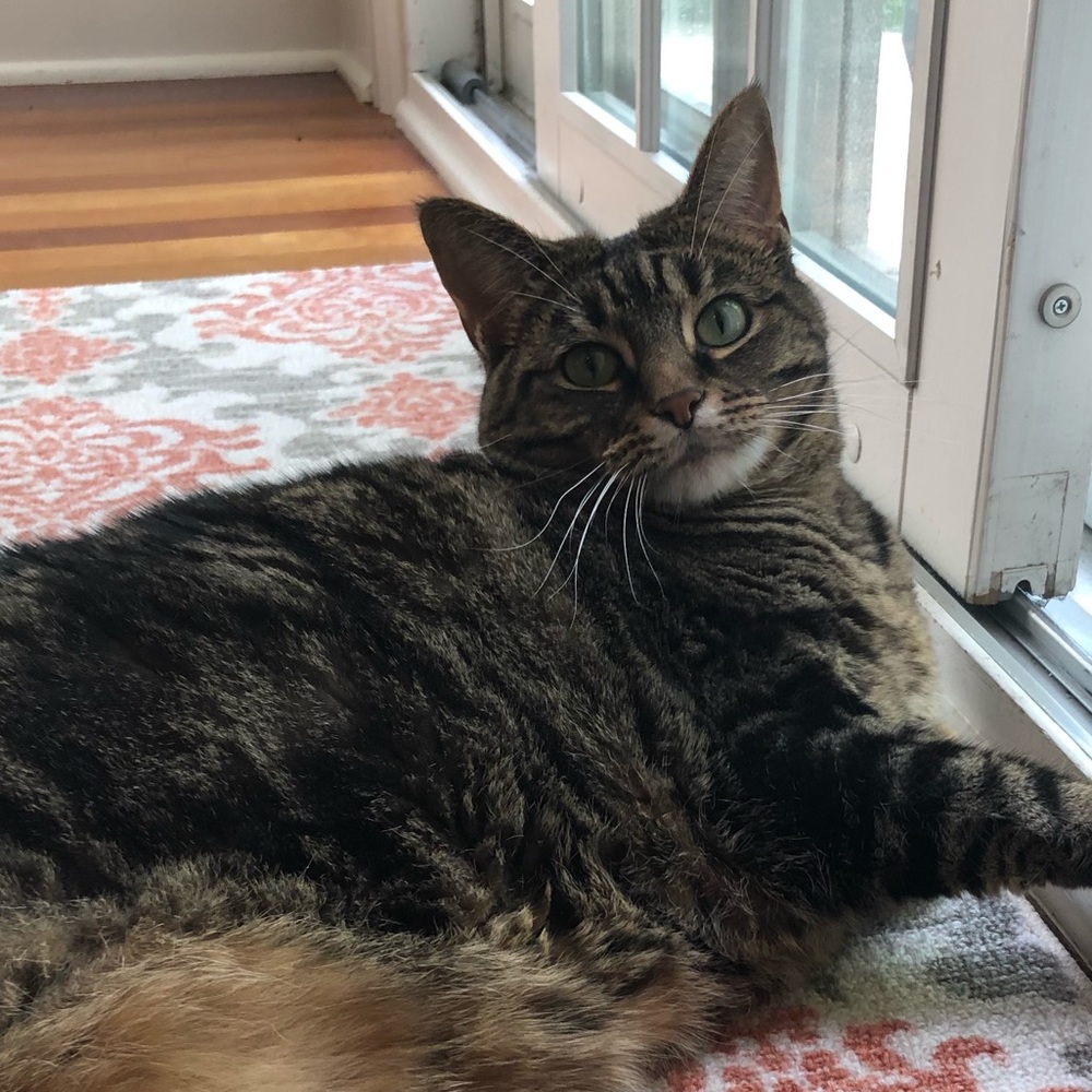 Meet your Posher, Cora